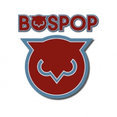 Bospop (zondag)
